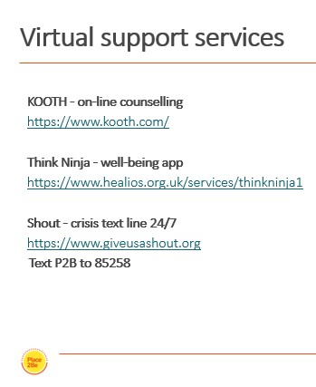 details of virtual support services: Kooth; Think Ninja and Shout