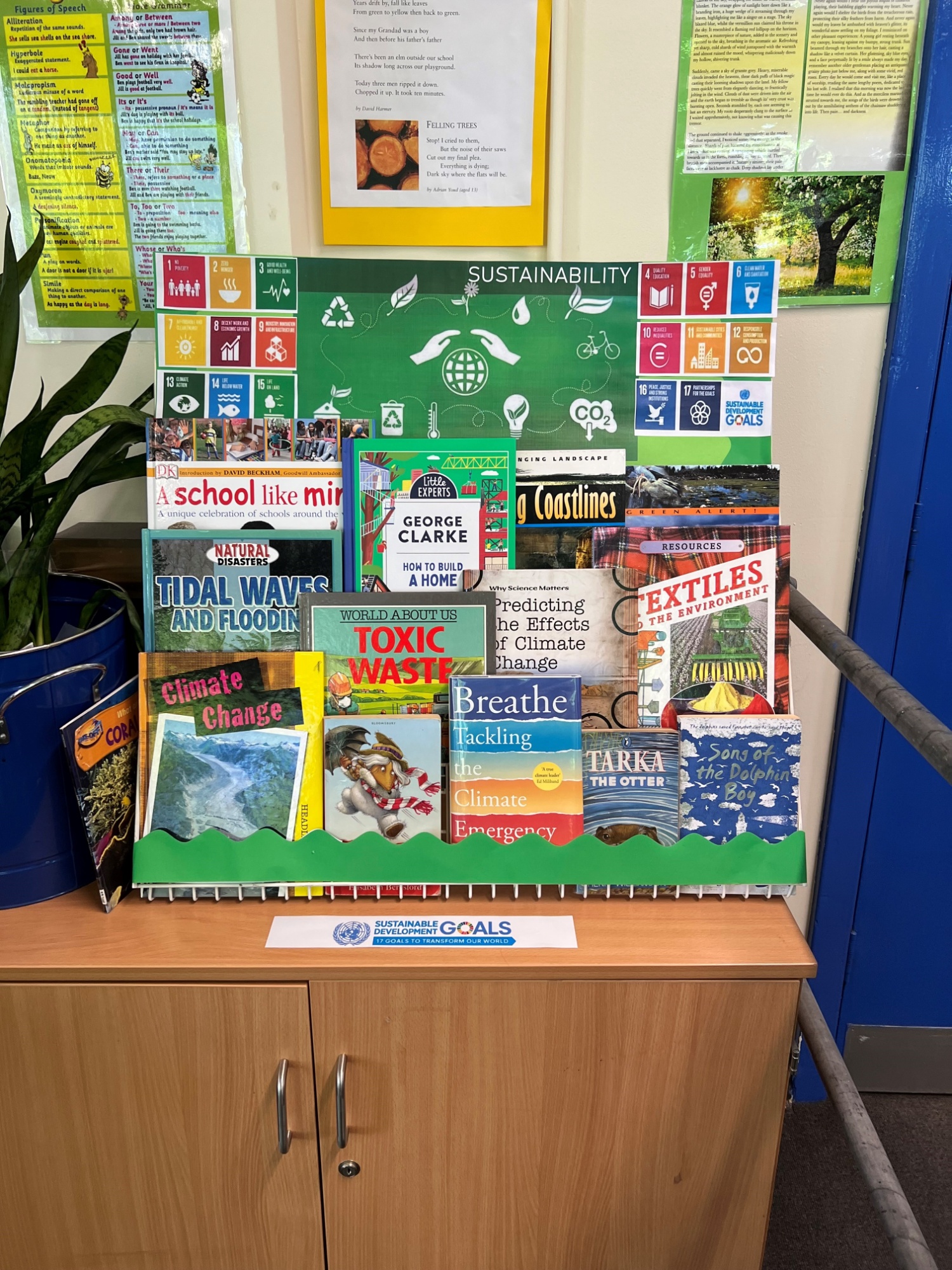 Library Display