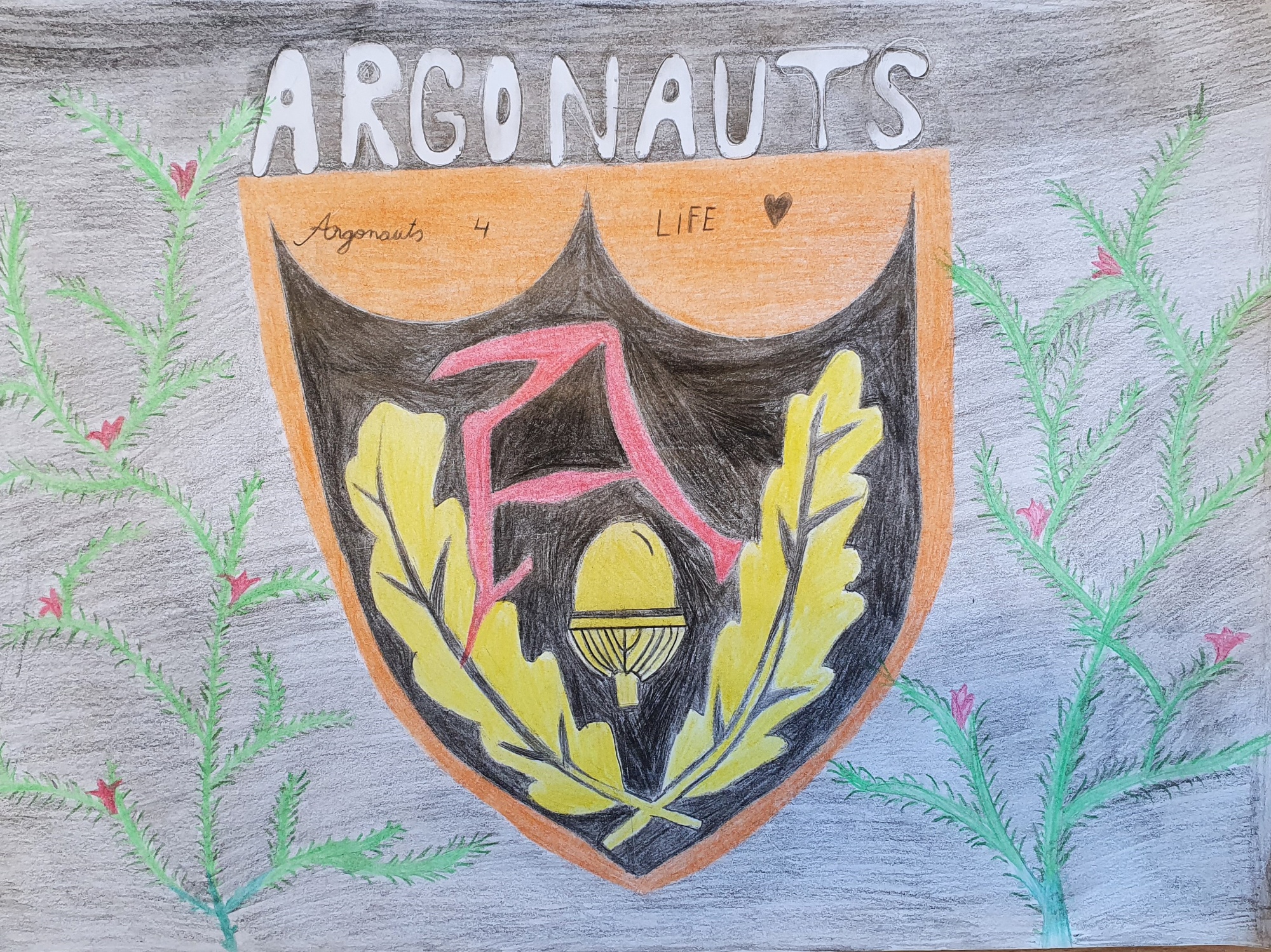 student designed argonauts badge