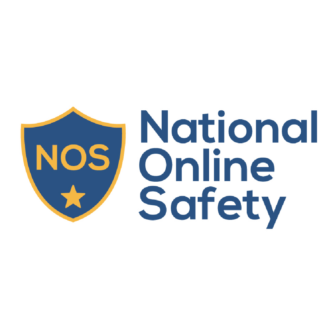 National Online Safety logo