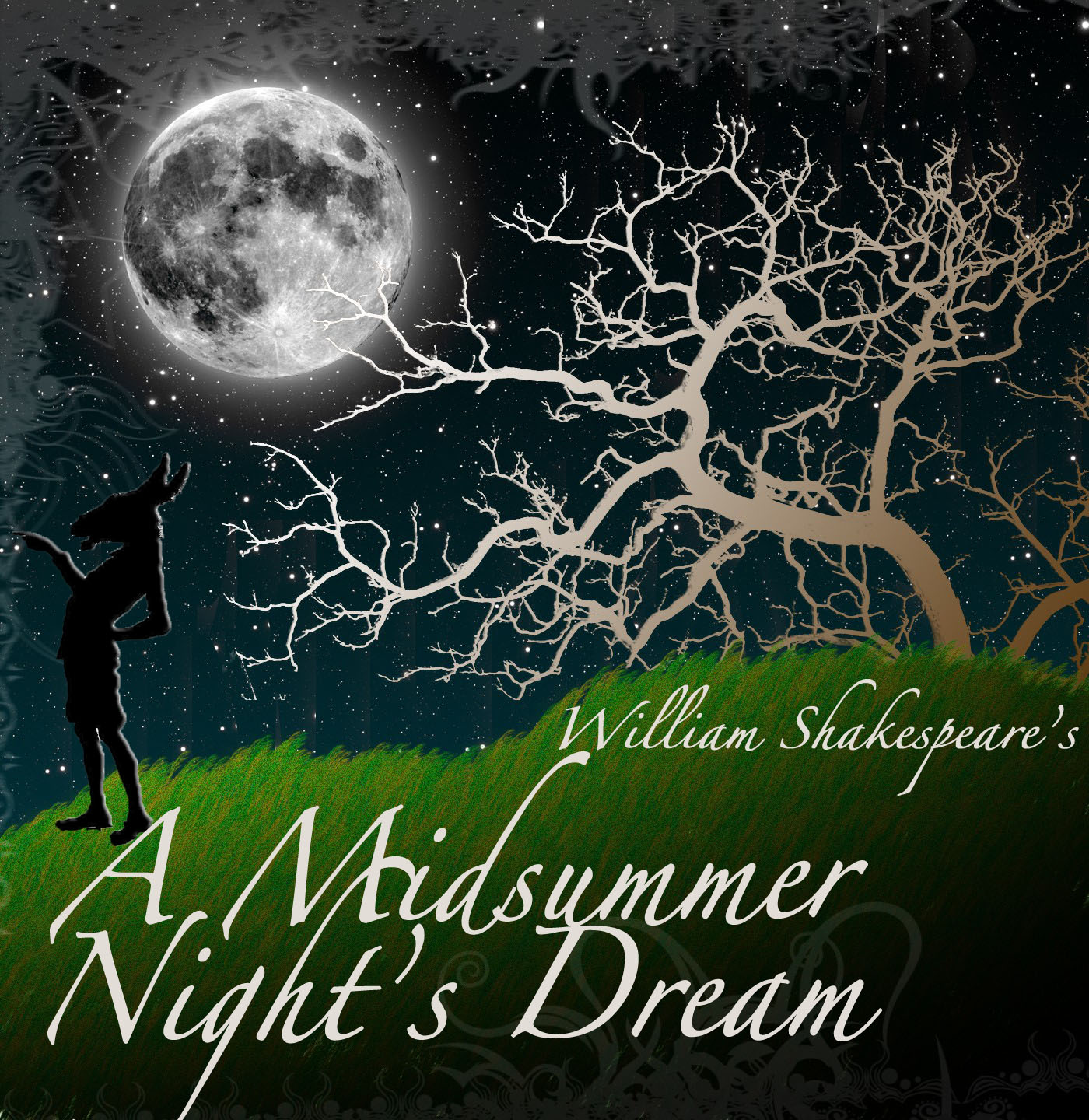 book cover of A Midsummer's Night Dream